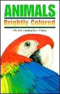 Animals Brightly Colored