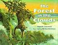 Forest In The Clouds