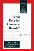 What Role for Currency Boards?