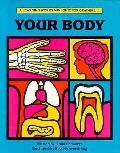 Your Body Grades One To Four