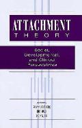 Attachment Theory Social Developmental &