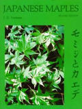 Japanese Maples 2nd Edition Momiji & Kaede