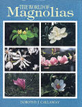 World Of Magnolias