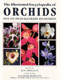 Illustrated Encyclopedia of Orchids Over 1100 Species Illustrated & Identified