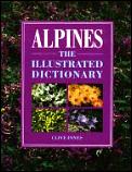 Alpines The Illustrated Dictionary
