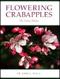 Flowering Crabapples The Genus Malus