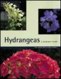 Hydrangeas A Gardeners Guide