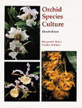 Orchid Species Culture Dendrobium