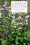 Book Of Salvias Sages For Every Garden