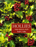 Hollies The Genus Ilex