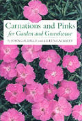 Carnations & Pinks For Garden & Greenhou