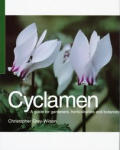 Cyclamen A Guide For Gardeners Horticulturists & Botanists