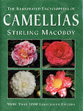 Illustrated Encyclopedia Of Camellias