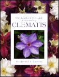 Gardeners Guide To Growing Clematis