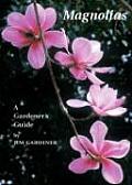 Magnolias A Gardeners Guide