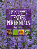 Plantfinders Guide To Tender Perennials