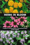 Herbs In Bloom