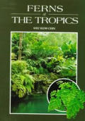 Ferns of the Tropics