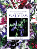 Gardeners Guide To Growing Salvias