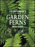 Plantfinders Guide To Garden Ferns