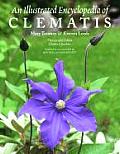 Illustrated Encyclopedia Of Clematis