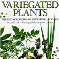 Variegated Plants