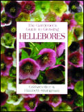 Gardeners Guide To Growing Hellebores