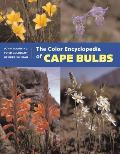 Color Encyclopedia Of Cape Bulbs