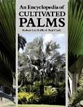 Encyclopedia Of Cultivated Palms