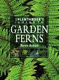 Plantfinders Guide To Garden Ferns