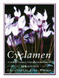 Cyclamen A Guide For Gardeners Horticulturi
