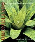 Bromeliads For The Contemporary Garden