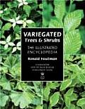 Variegated Trees & Shrubs The Illustrated Encyclopedia