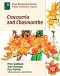 Crocosmia & Chasmanthe