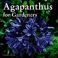 Agapanthus For Gardeners