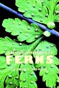 Natural History Of Ferns
