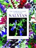 Gardeners Guide To Growing Salvias