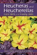 Heucheras & Heucherellas Coral Bells & Foamy Bells