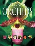 Floras Orchids