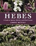 Hebes A Guide to Species Hybrids & Allied Genera