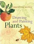 Drawing & Painting Plants