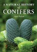 Natural History Of Conifers