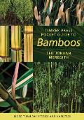 Timber Press Pocket Guide to Bamboos More Than 300 Species & Varieties
