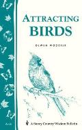 Attracting Birds Storey Country Wisdom Bulletin A 64