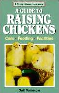 Guide To Raising Chickens Care Feeding Facilit