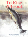 To Rise A Trout Dry Fly Fishing For Tr