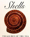 Shells Treasures Of The Sea