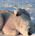 World Of Baby Animals