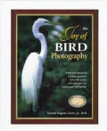 Joy Of Bird Photography