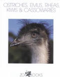 Ostriches Emus Rheas Kiwis & Cassowaries
